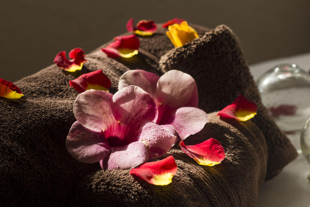Hotel Villa Del Conquistador Cuernavaca Zewnętrze zdjęcie